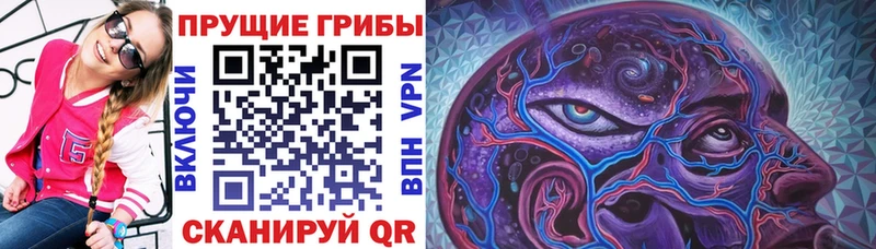 цена наркотик  Шуя  Галлюциногенные грибы мицелий 