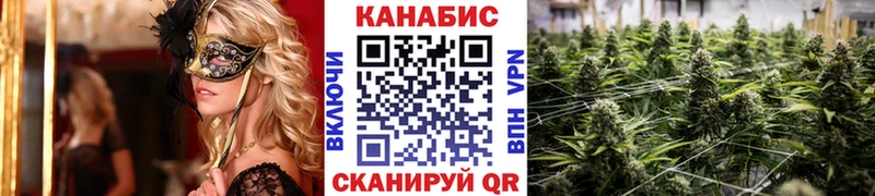 KRAKEN онион  Шуя  Конопля ГИДРОПОН 